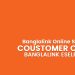 Banglalink Online Service | Banglalink Online Customer Care | Banglalink Eselfcare