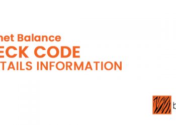 BL Internet Balance Check Code & Details Information